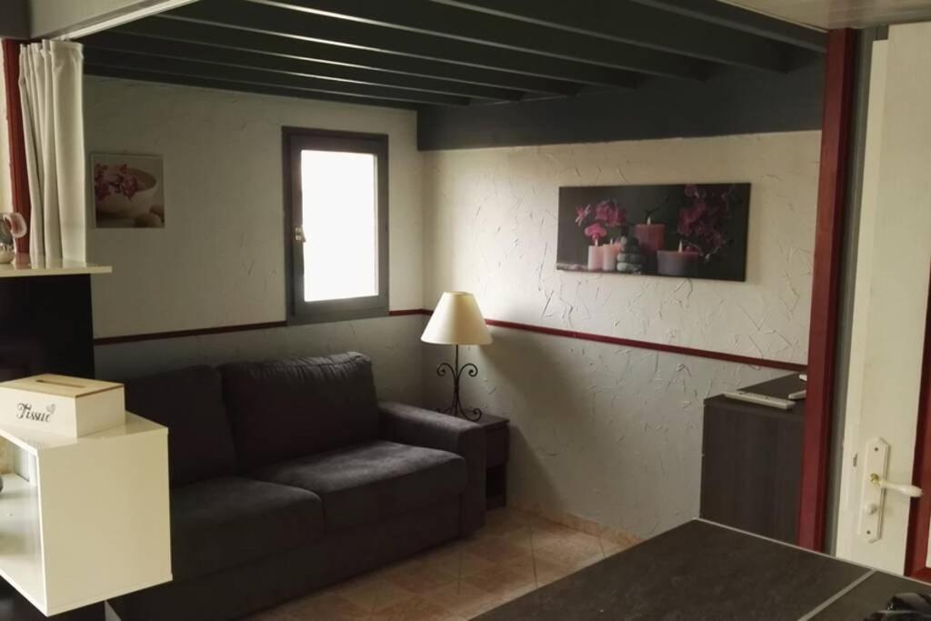 Studio Mezzanine En Residence Avec Piscine Au Village Le Barcarès المظهر الخارجي الصورة